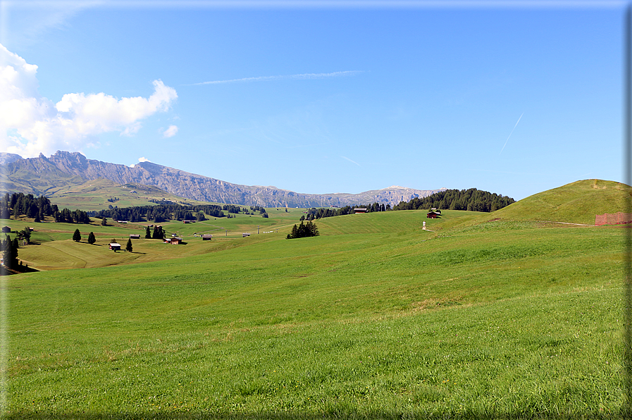 foto Alpe di Siusi